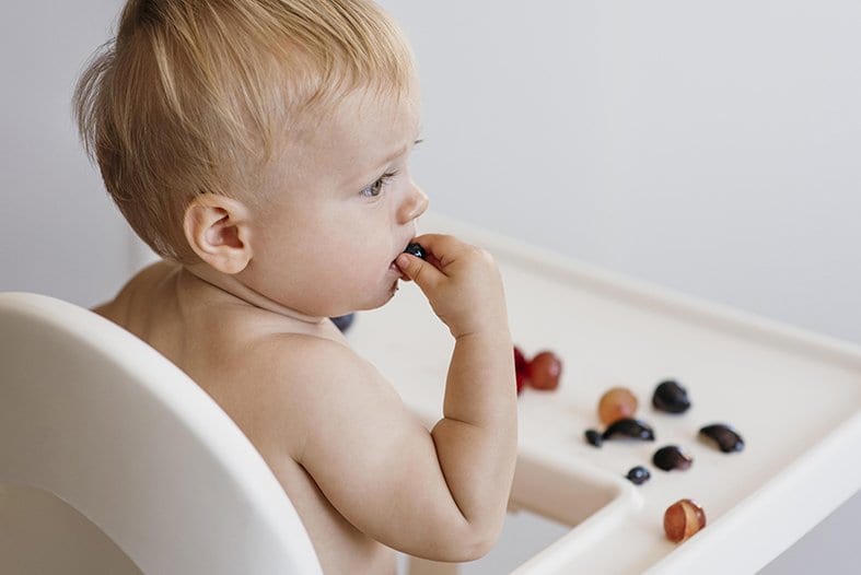  Método Baby-Led Weaning
